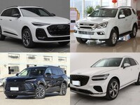 ���30������������SUV��Ƚ�����������ʵ���Ķ�Ԫѡ��