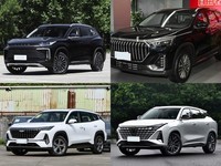 20��������5��SUV�Ƽ����Ŀ�ʵ���ɳ���ȫ�����