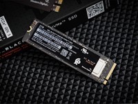  WD_BLACK™ SN8100 NVMe™ SSDٻ2025ʮChinaJoyڽ