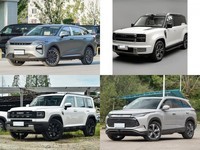 30��Ԫ�������5��SUV��������;����C-DM������H10����������Դ��������07��;��L�����ȶԱ�