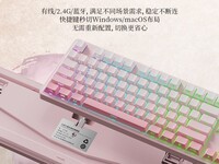 SKN�ŷ�Pro��ģ��е����249Ԫ