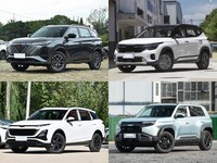 20��Ԫ���Ŀ�ȫ��5��SUV���������ܡ��ٿء�����봿��������ȫ����