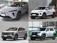 20��Ԫ��������������SUV��Ⱥ�������졢���ܡ�Ӳ��˭��ֵ������