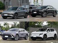 20���ڴ����д���SUV��ǿӲ�˺������ռ䡢�Ǽ���������ʵս�Ծ�