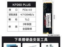 ��ٴ�KP260 PLUS 512G PCIe4.0 SSD