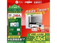 ʯͷP10S Proˮ2080Ԫ