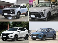 10ԪĿȼͽSUVȲĿֵ֣