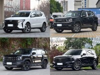 20SUVƼĿʵѡ˭ʤһ