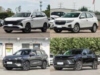 20SUVôѡ5ʵƼʵʼ汸