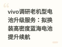 vivo�����ϻ��͵�����������⻻װ���ܶ����������������