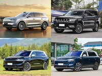 50��������SUV��ѡ���ʽ�M8/M9��BJ90ʵ���Ծ�