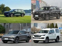 20��Ԫ���д���SUV������������Դ����ʵ��ͻΧ