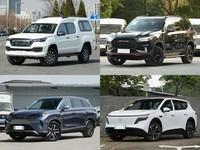 20��Ԫ������д���5��SUV������˭��������������ռ���ȫ��ʵ����