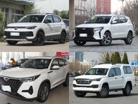 20��Ԫ���Ŀ�ʵ����5������SUV��Ⱥ�����;������ԽPRO����8 PRO������F9˭�����ϼ�ͥ��ʵ����