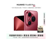 ΪPura 80 Pro+Ժһ