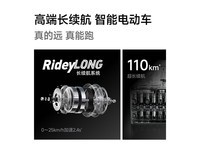 九号Mz110电动自行车京东促销中