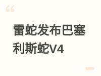 ���߷���������˹��V4רҵ/���ٰ漰V2������֧�ִ���������ģ����