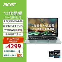 宏碁(Acer)非凡S3 全新12核酷睿Evo轻薄本 14英寸2.5K高色域 办公学生笔记本电脑(12代i5-1240P 16G 512G)银