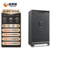 保险柜排行_手慢无超强防护!威盾斯黄金指传承系列LS6大型保险柜推荐
