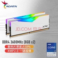 XPG ҫ D50 DDR4 3600 8G*2 ԰׵羺RGBڴ