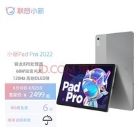 联想（Lenovo） 联想平板小新Pad Pro 2022 影音办公学习游戏平板电脑 120Hz高刷 OLED屏 8G+128G 骁龙版 霜雪银