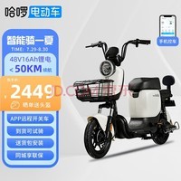  綯¹綯гHAHA﮵ܶλƿ;ƽ48VƳѧ haha̰ɫ-16AH-﮵-Լ50KM