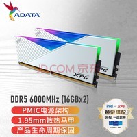XPG ҫ LANCER DDR5 6000 16G*2 ԰׵羺RGBڴ