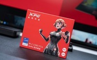 XPGS11 1TB NVMe̬Ӳ