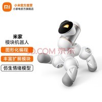 ׼ Xiaomiģ ܻ ٱ乹 ģ黯ƴװḻչľ ׼ģ