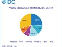 2024上半年中国公有云总规模超200亿美元