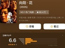 赵丽颖新片《向阳花》豆瓣开分6.6引发争议