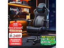安德斯特麒麟2.0 Pro人体工学椅优惠价格仅需2285元
