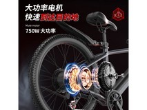 领航者小牛电助力自行车750W豪华版钜惠2499元