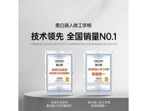 黑白调E3 Pro人体工学椅京东下单低至2299元