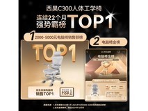 西昊Doro C300人体工学电脑椅京东促销价2149元