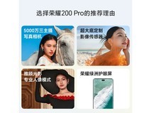 荣耀 200 Pro 5G到手价2379 12GB+256GB 天海青色手机