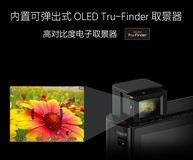 哪款数码相机划算 老年摄影班实用防抖变焦榜