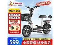 凤凰新国标电动车仅售569元
