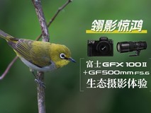 翎影惊鸿——富士GFX100 II+GF500mm F5.6生态摄影体验