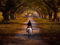 《荒野大镖客2》获英国电影学院“游戏史上最佳续作”