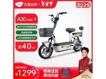 五星钻豹TDT0009Z电动车仅售1299元 限时优惠抢购中