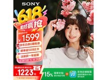 索尼WH - 1000XM4蓝牙耳机京东优惠价1038元