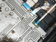 PS4主机内部惊现蟑螂成灾