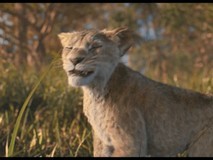 《狮子王:木法沙传奇》最新预告片发布 2024年12月20日上映