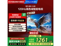 雷鸟鹏6 24款55S375C电视55英寸1223元