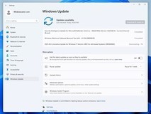 微软暂停Win11 24H2更新推送