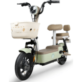 五星钻豹电动车A13限时优惠1499元!