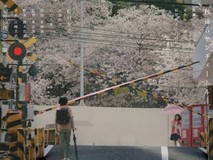 真人版《秒速五厘米》发布新预告及海报,2025年上映