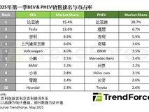 2025年Q1全球纯电动车销量激增,中国品牌六强领跑