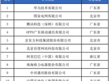 2024年度中国企业专利排行榜:华为第一 腾讯/OPPO进前五